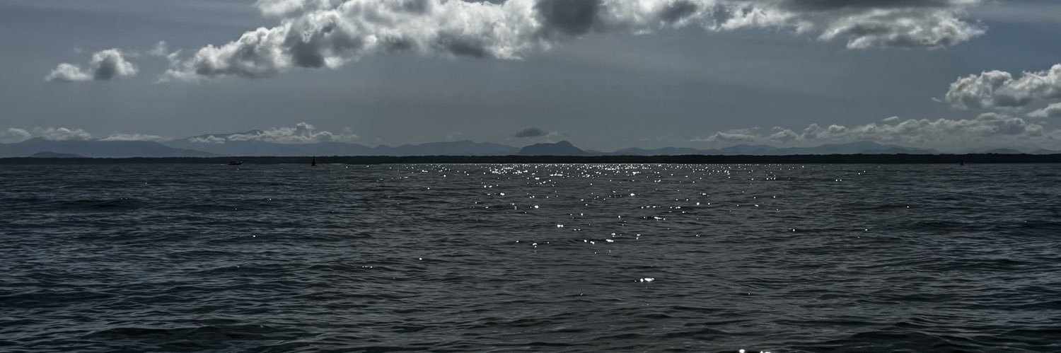 kaoany m taques banner
