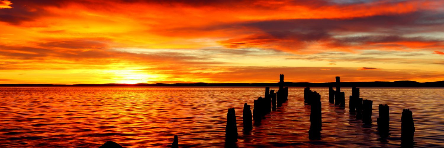 Rodrigo Acuña, el gato banner