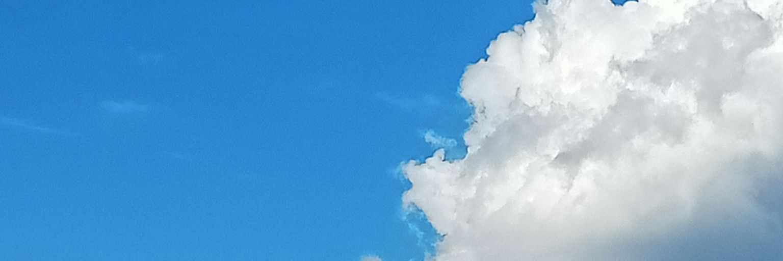 prikie - meow banner
