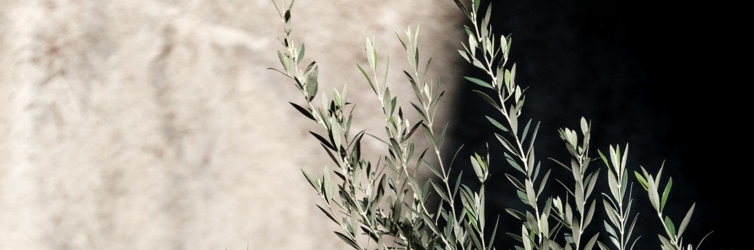 prxmed's profile banner image