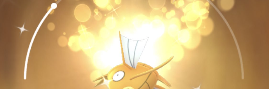 🦭 banner