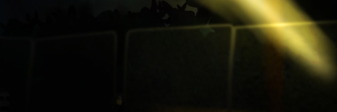 ✺ Rogue Paint ✺ banner