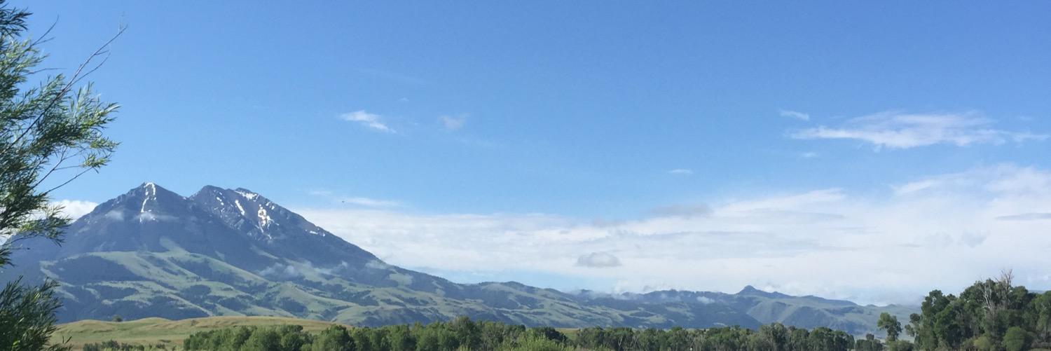 bo_henley's profile banner image