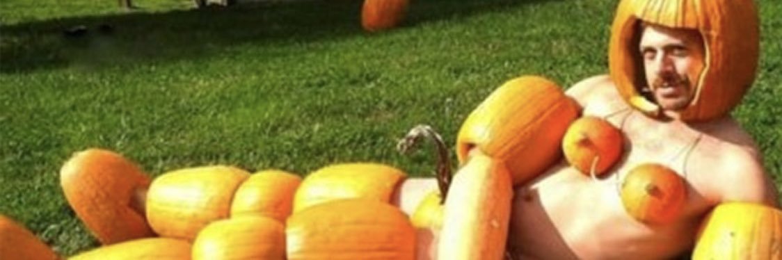 LindseyWeilant's profile banner image