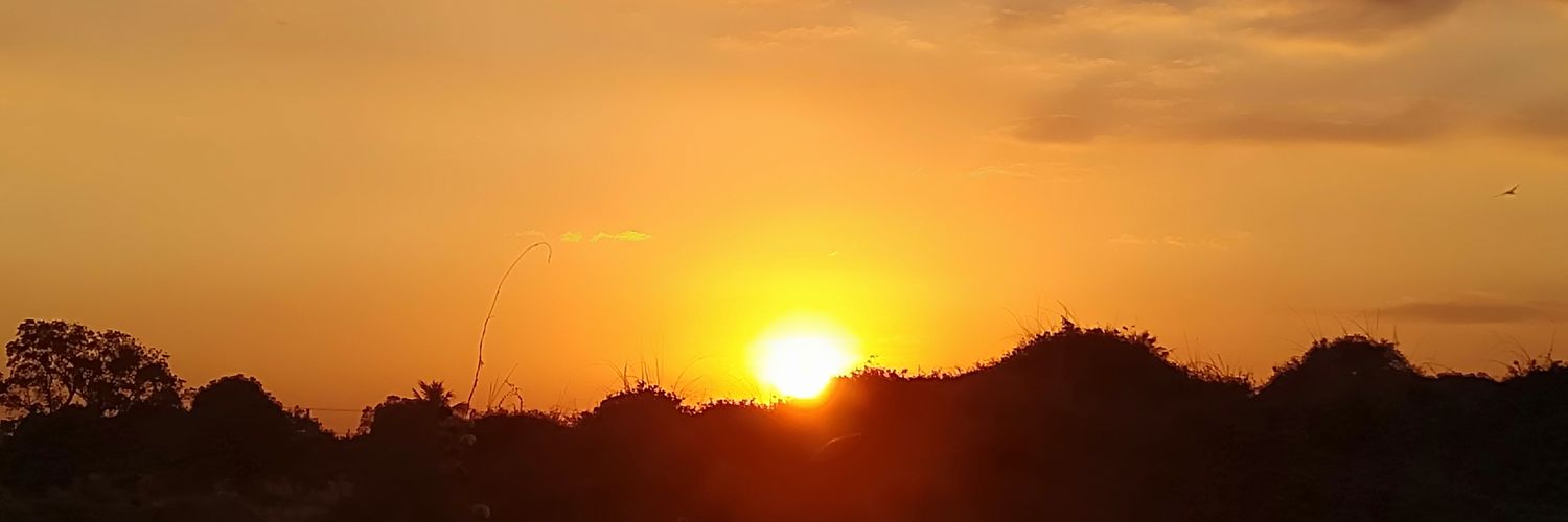CocaJane's profile banner image