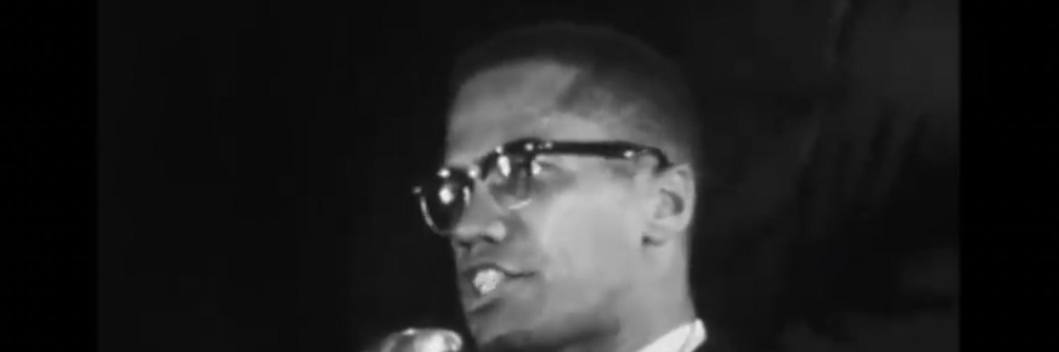 Black Democrats are IDIOTS banner