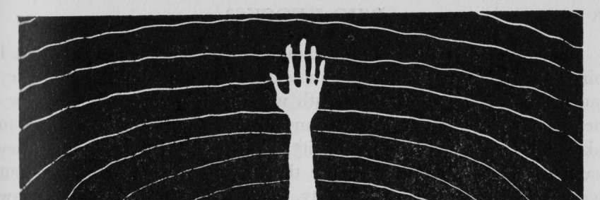 Sprogley's profile banner image