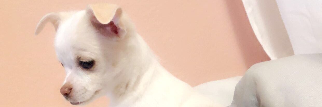 lopez_lopez100's profile banner image