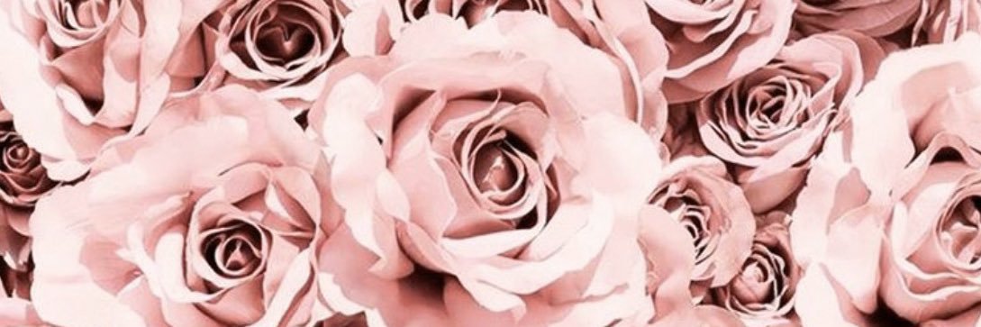 Merylley's profile banner image
