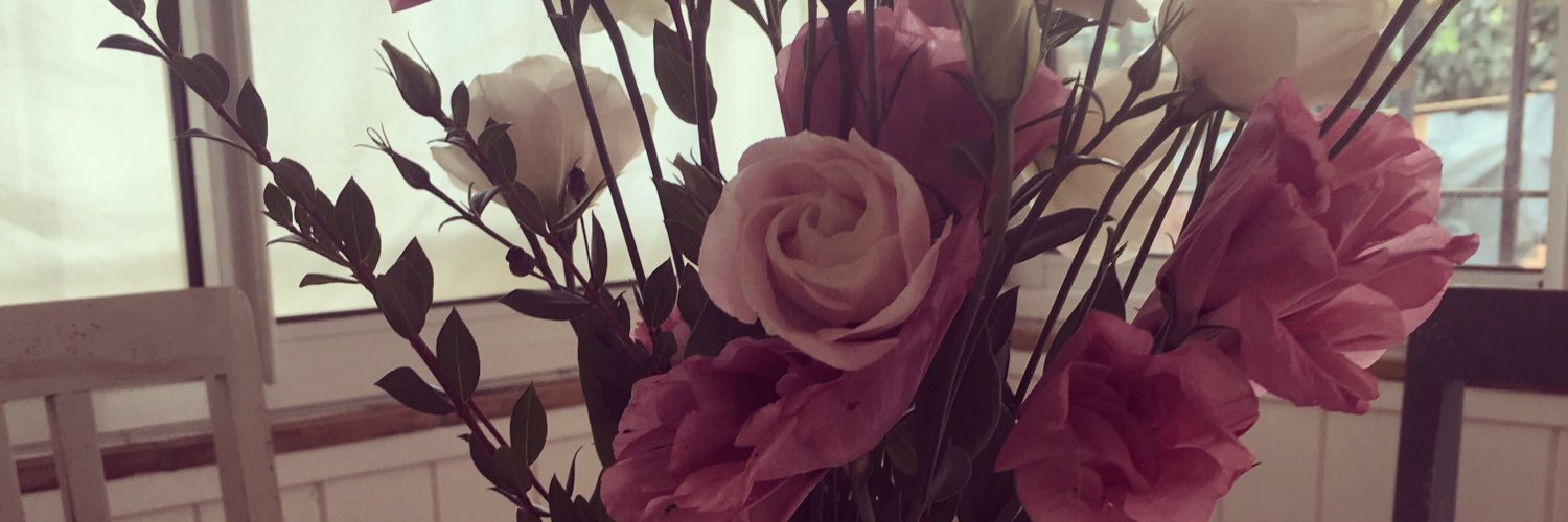 ToderiAlice's profile banner image