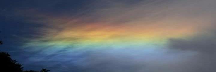 mCesmp's profile banner image