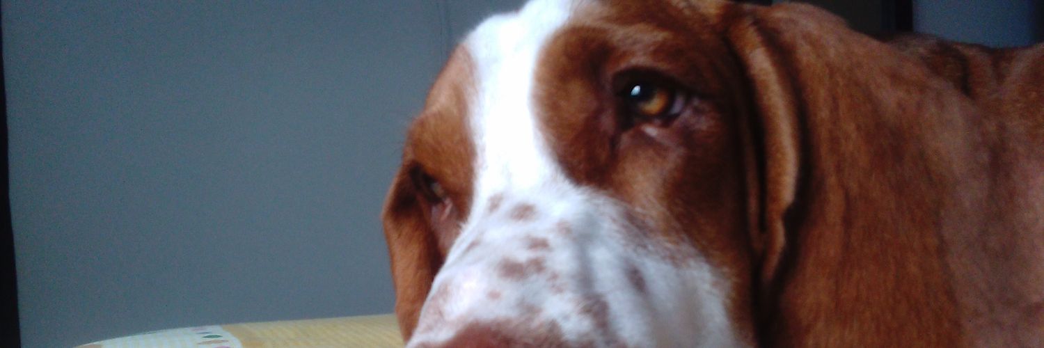 Sandra Buitrago banner