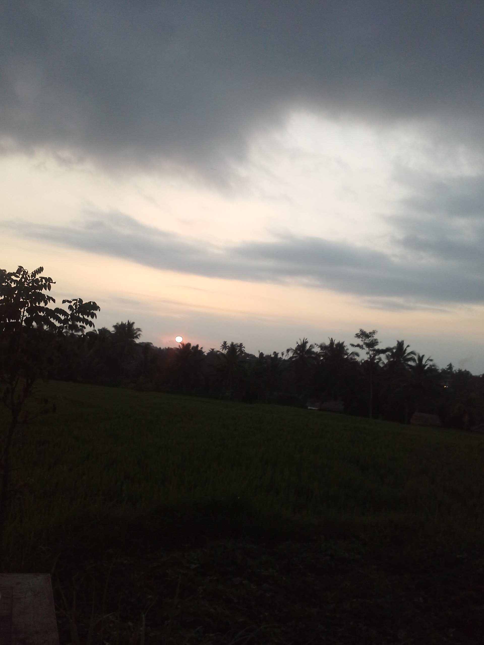 may_dyanti's profile banner image