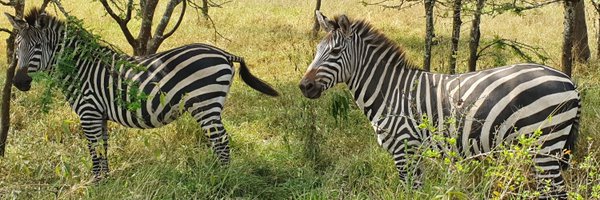 hatem_chakroun Profile Banner