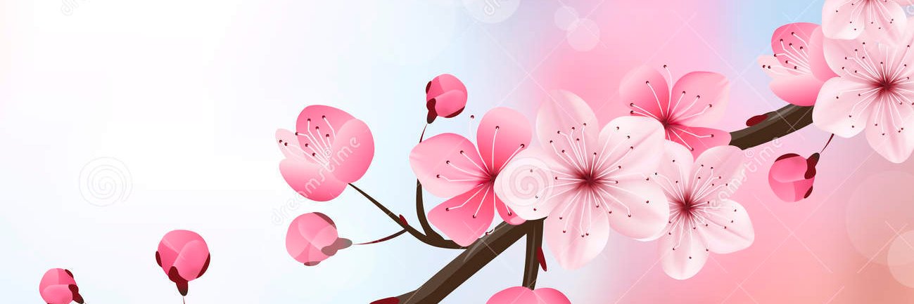 MariaGabrielaSD's profile banner image