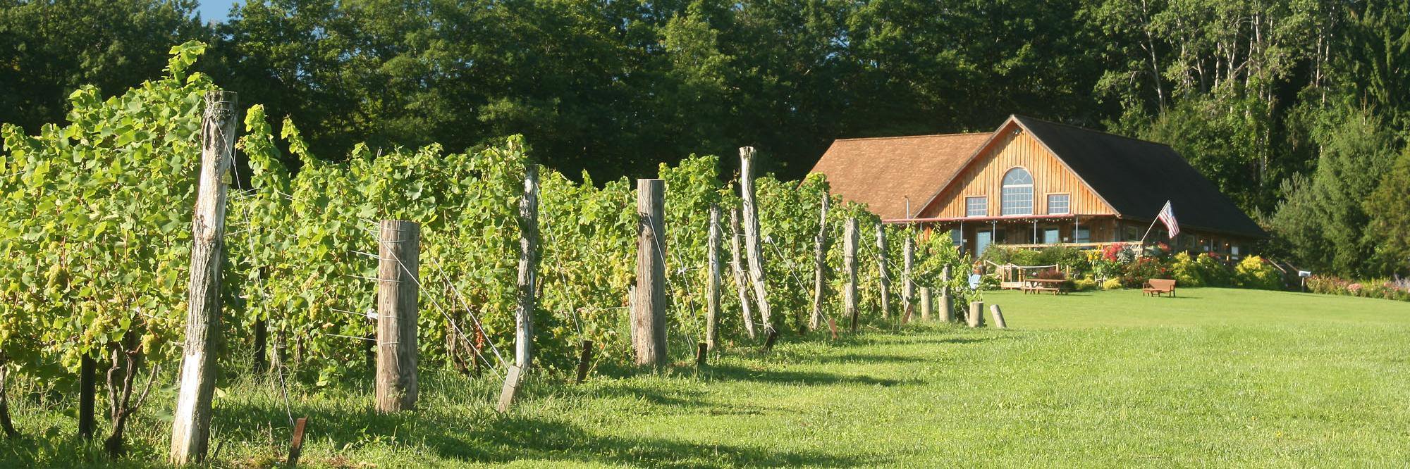 ButtonwoodGrove's profile banner image