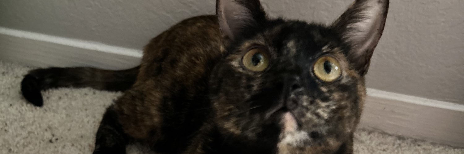 _nushh's profile banner image