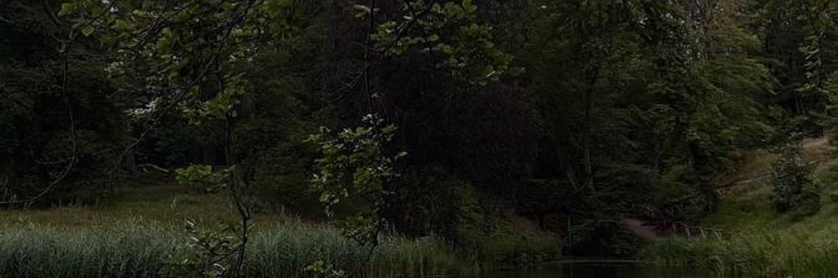 prtyyi's profile banner image