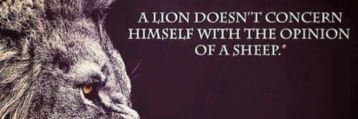 Average Super Dad banner