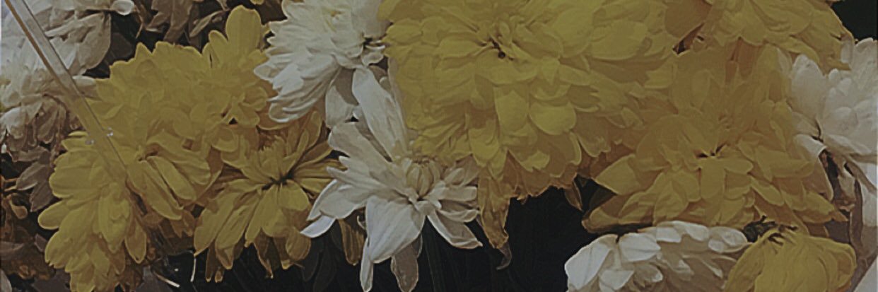F19802816's profile banner image