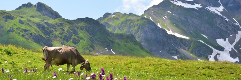 danbailey's profile banner image