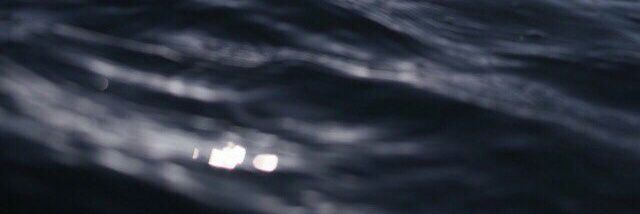 Quinn banner