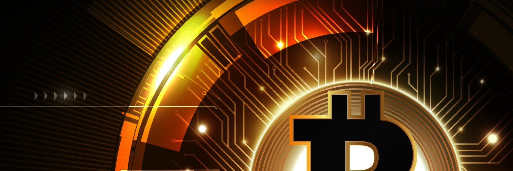 bitcoinfox1's profile banner image