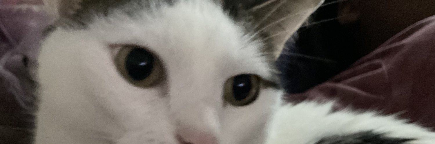 BABYGIRLSANDY47's profile banner image