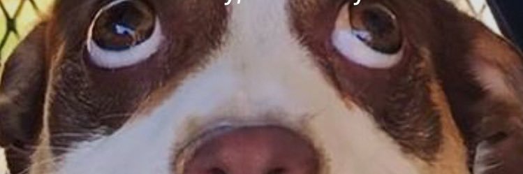 BonnefoyCole's profile banner image