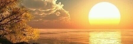 فهد banner
