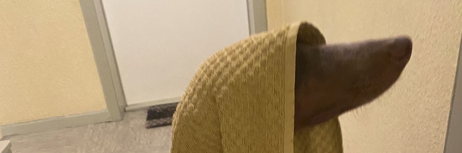 NegativesProton's profile banner image