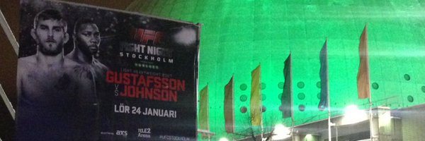 stehigh Profile Banner