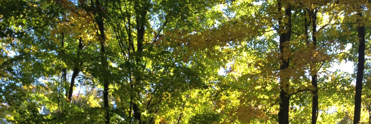 SMEMurray's profile banner image
