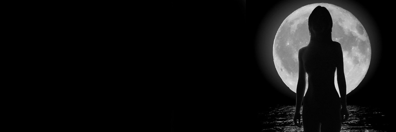 he_plankton's profile banner image