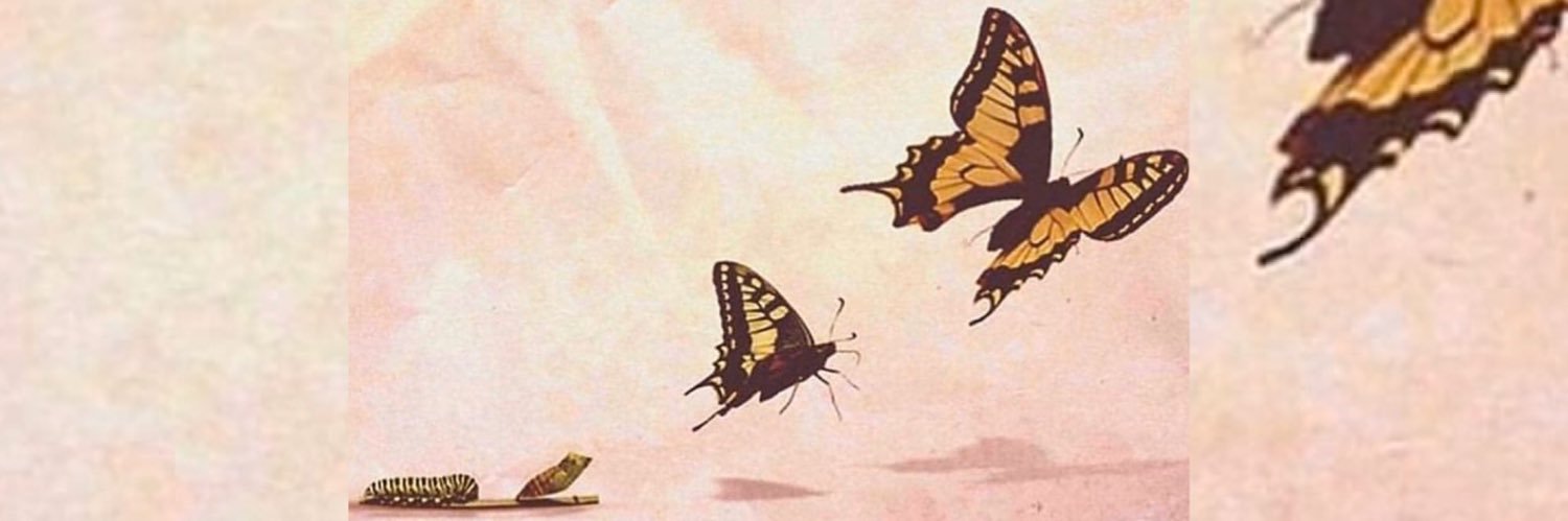 shiestiee's profile banner image