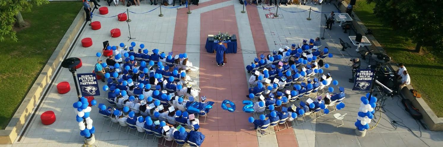 Petrides School banner