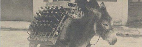 CameroNicolas's profile banner image