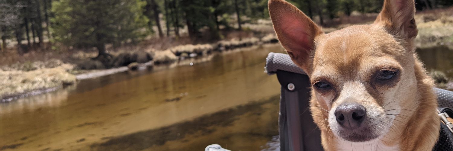 Jasmine43g's profile banner image