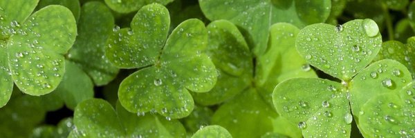 ssunapp Profile Banner