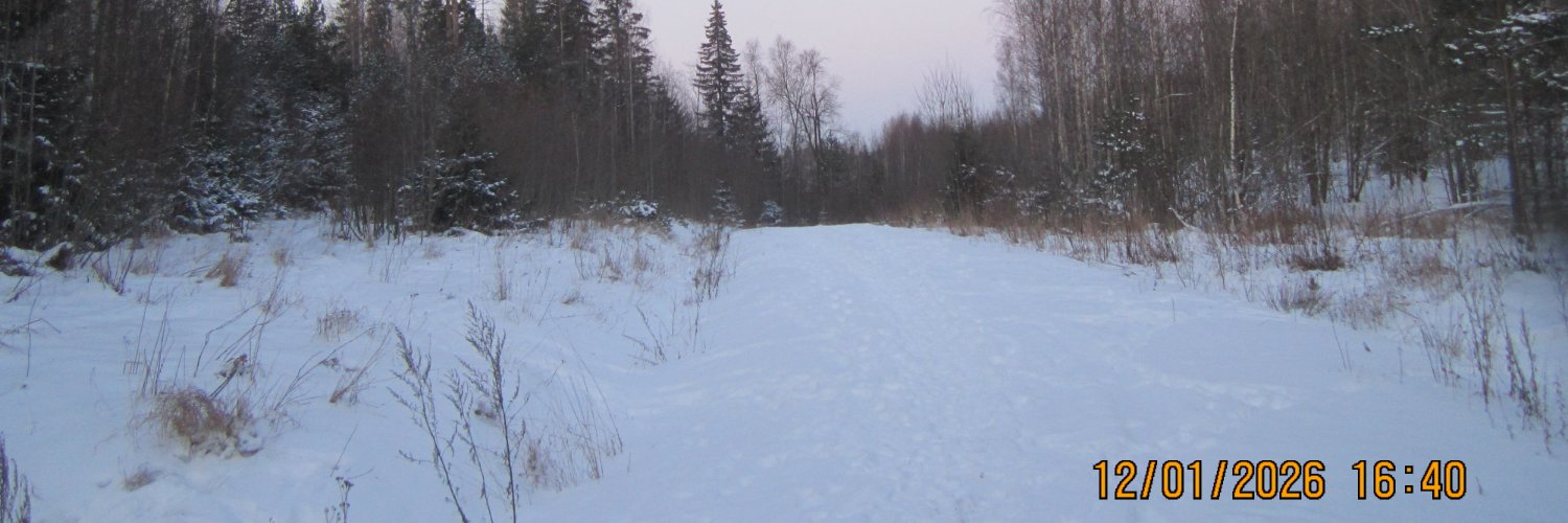 christian lantti banner