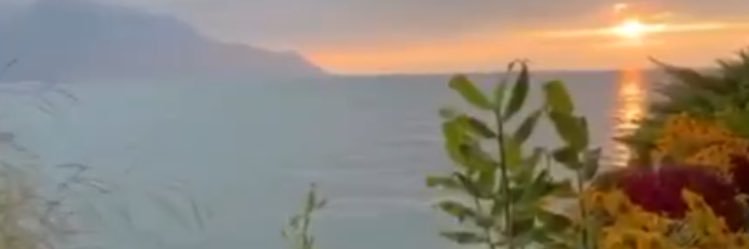 D🤍 banner