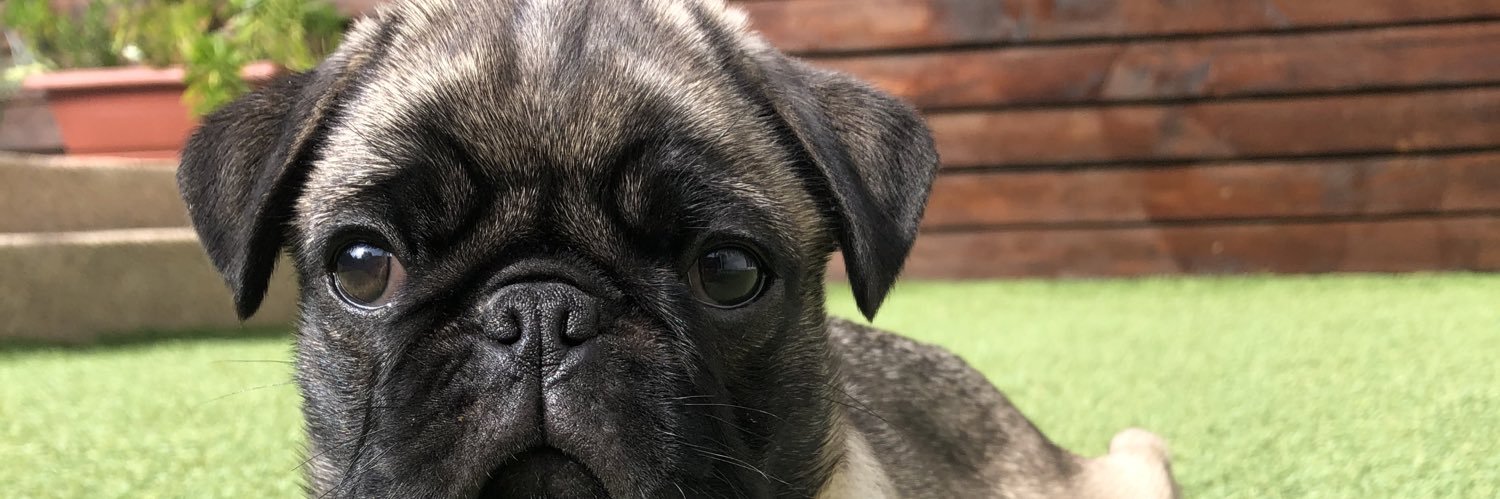 Jimmy Rodriguez banner