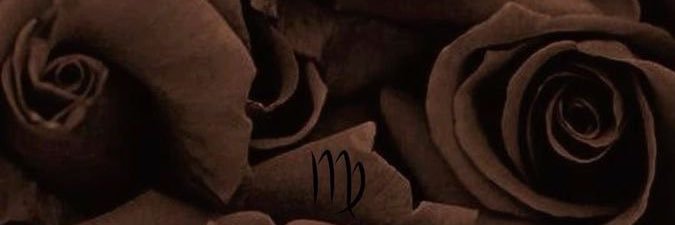 litgerin's profile banner image