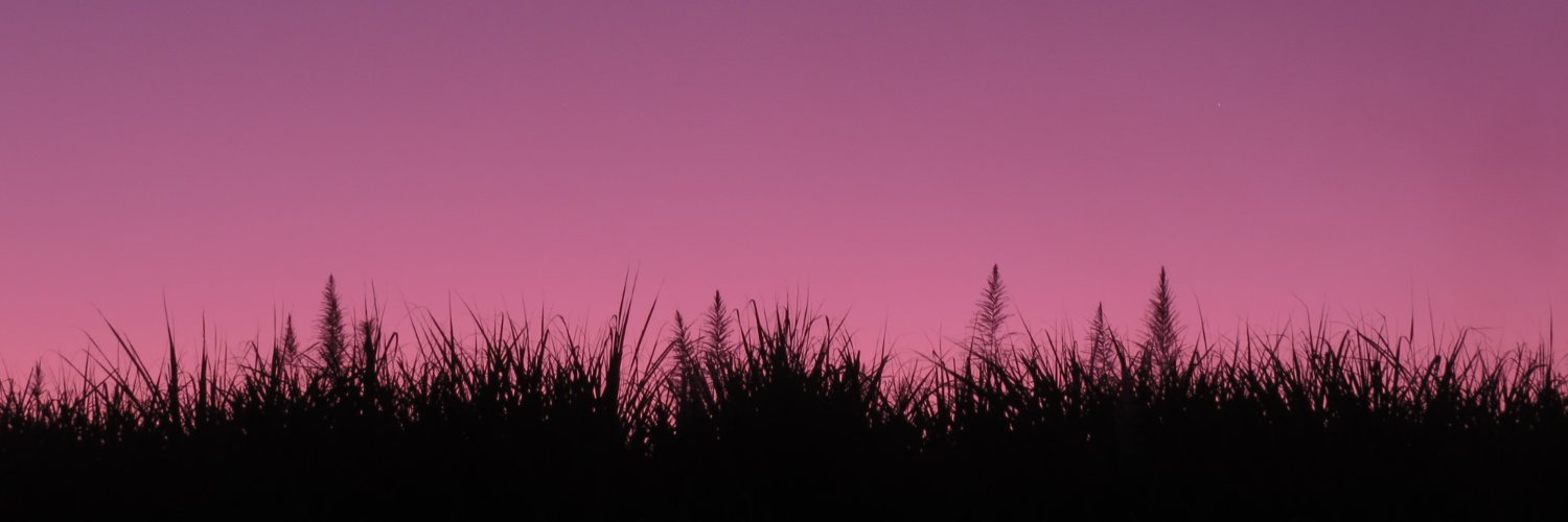 daniel_certuche's profile banner image