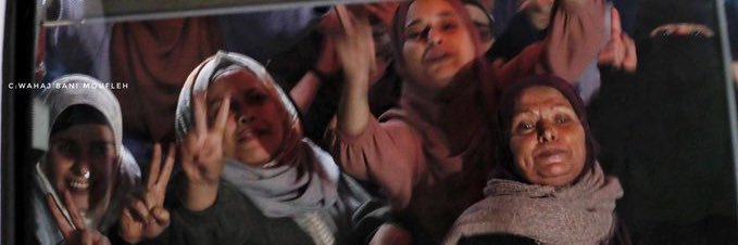 Pilli Bebek🇵🇸 banner