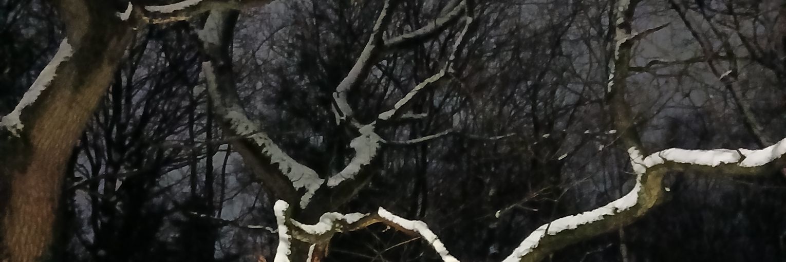 Dae 🌼DPR'S NO.1 FANBOY🌼 banner