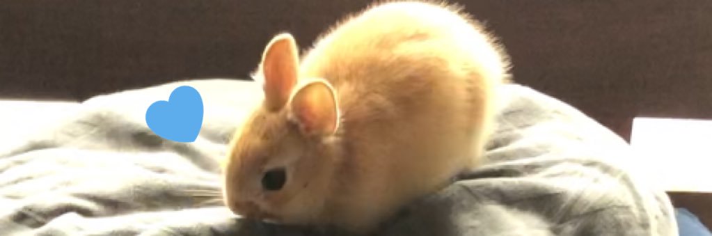 kAzEu2ta2's profile banner image