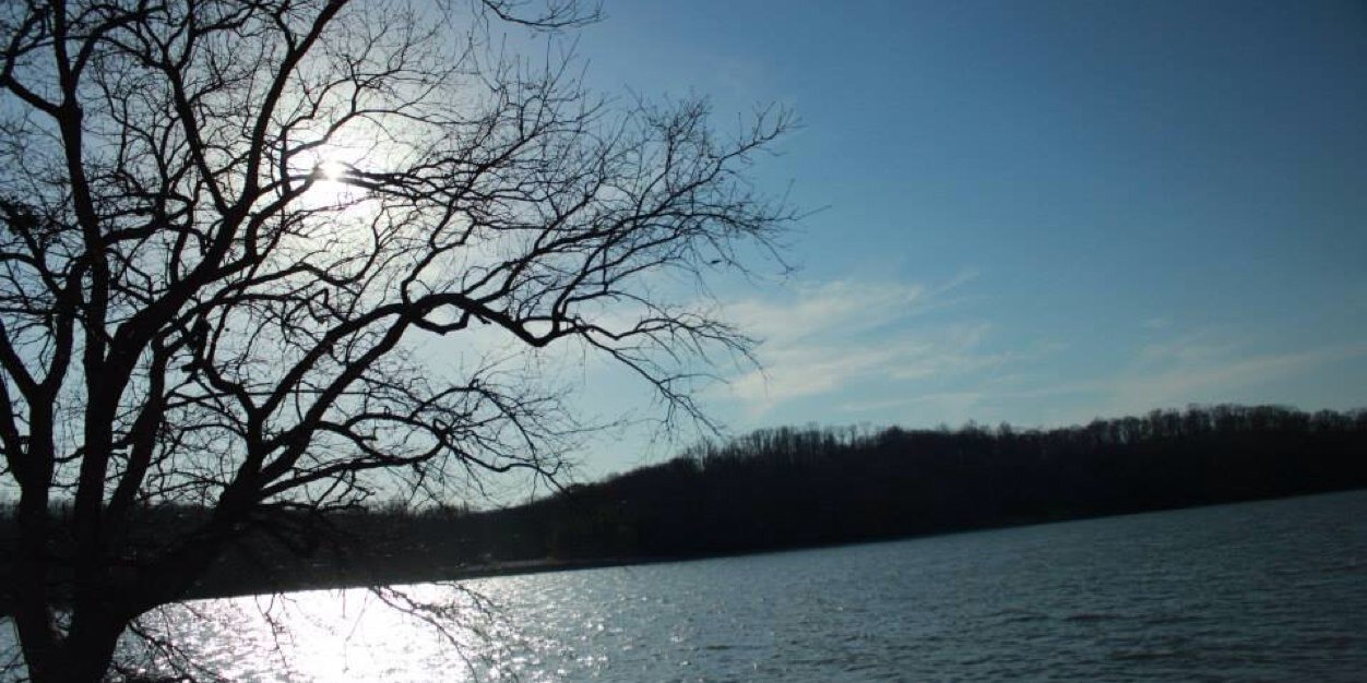 ljermyn1's profile banner image