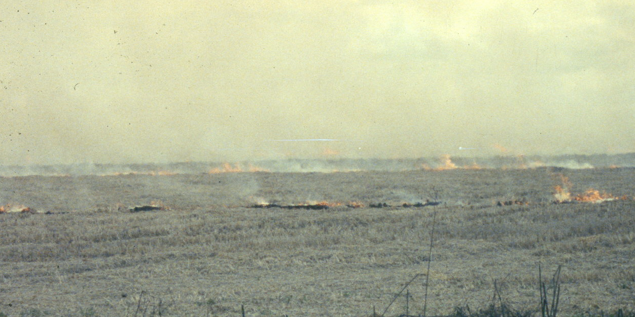 mark mcbride (parody) banner