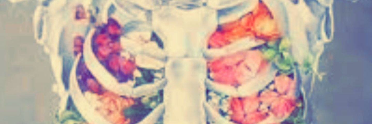 رود العقاد banner